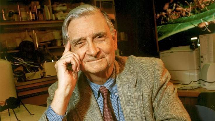 Early Reviews: Edward O. Wilson's New Book "Commands Attention"